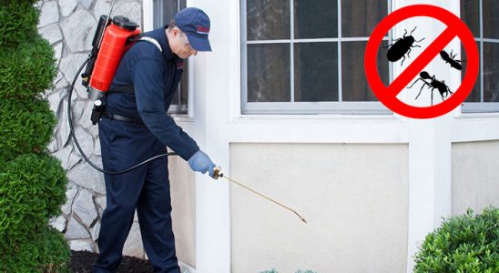 Akıncılar Gümüşkurt İlaçlama böcek ilaçlama ve haşere kontrolü — ilaclama-tr.com